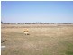 Dalby QLD 4405