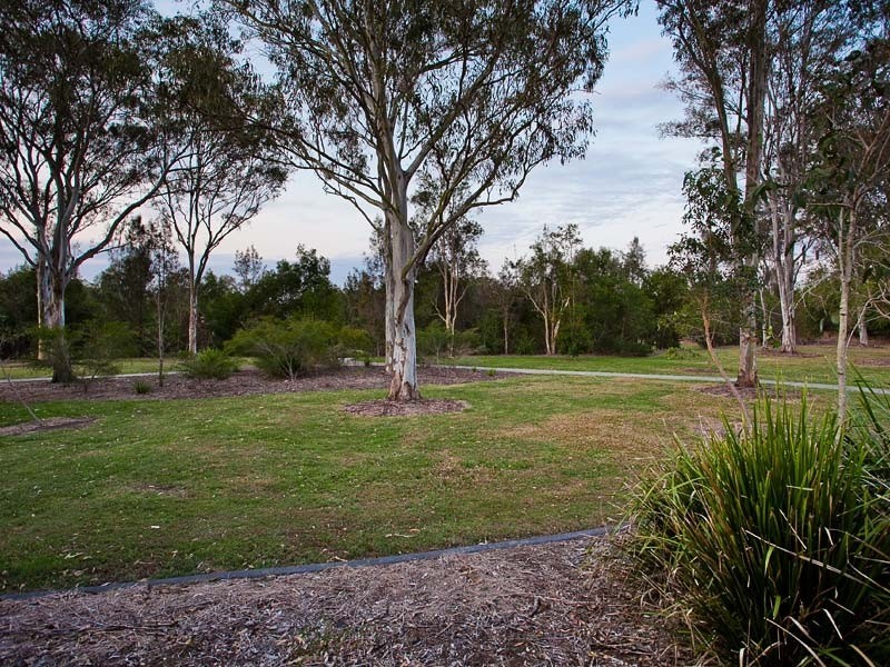 11 Crowcombe Place, Carseldine QLD 4034