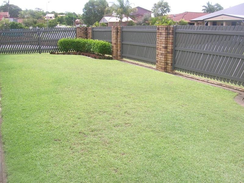20 Nilkerie Street, Carseldine QLD 4034