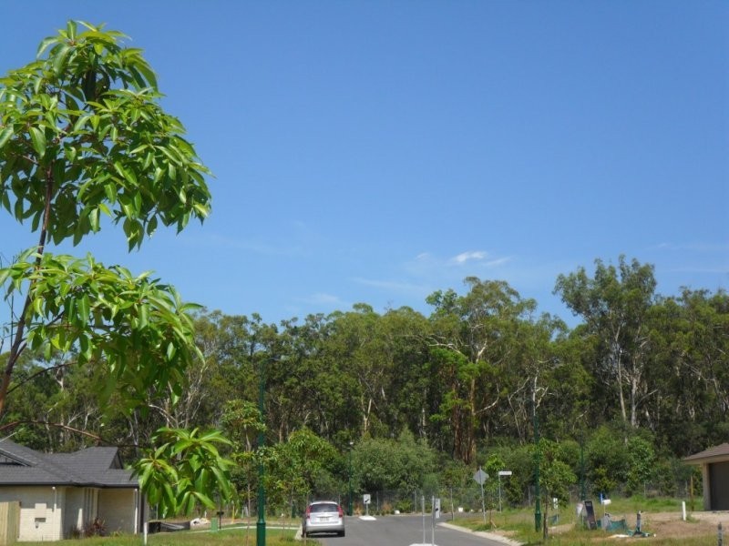 15 Dily Street (off Peverell St), Hillcrest QLD 4118