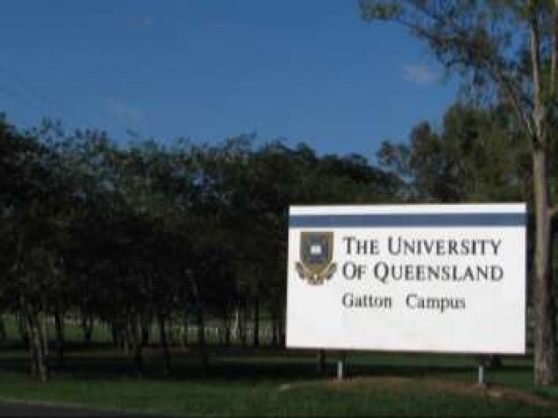 82 Tallaringa Drive, Adare QLD 4343