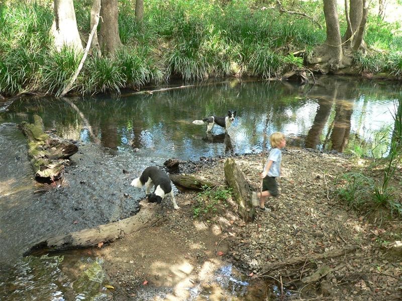 280A Upper Orara, Karangi Road, Coffs Harbour NSW 2450