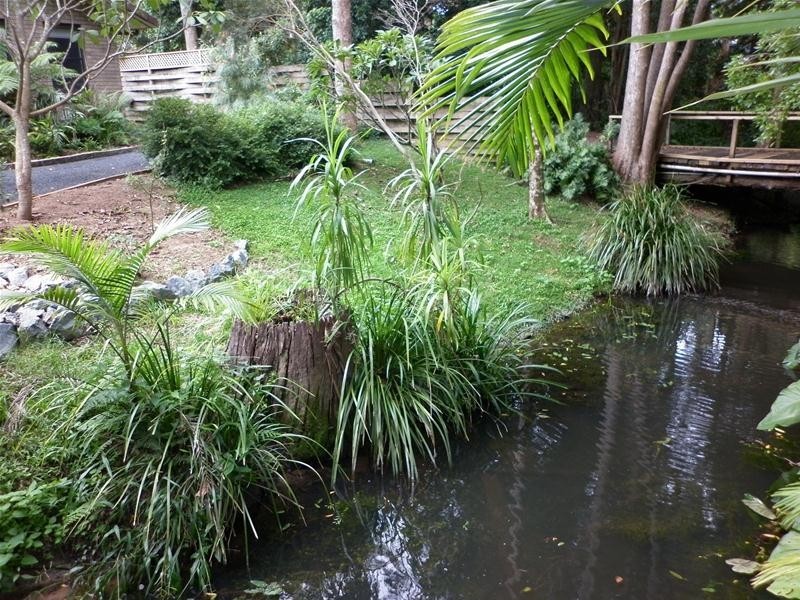 8 Bream Close, Emerald Beach NSW 2456