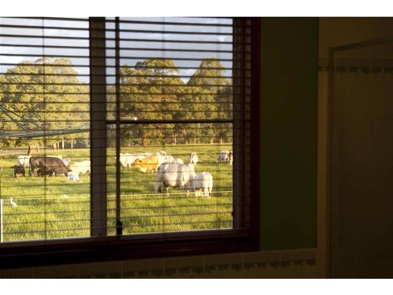 175C Crossmaglen Road, Coffs Harbour NSW 2450