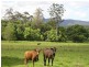 672 Orara Way, Nana Glen NSW 2450