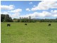672 Orara Way, Nana Glen NSW 2450