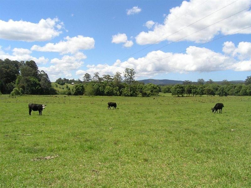 672 Orara Way, Nana Glen NSW 2450