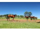 279 Crossmaglen Road, Coffs Harbour NSW 2450