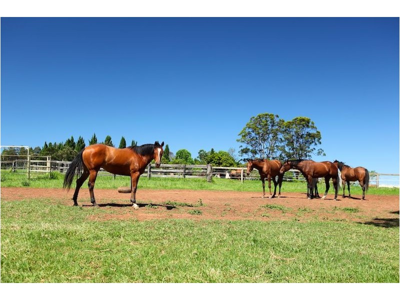 279 Crossmaglen Road, Coffs Harbour NSW 2450