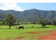 279 Crossmaglen Road, Coffs Harbour NSW 2450