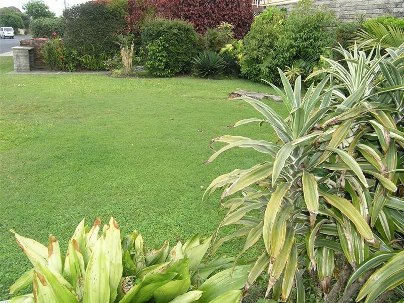 2/21 York Street, Coffs Harbour NSW 2450