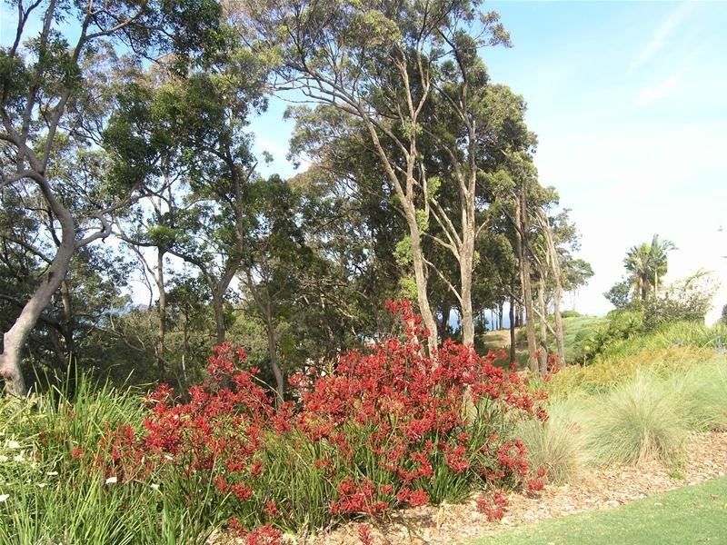 Villa 28/1 Five Islands Drive, Coffs Harbour NSW 2450