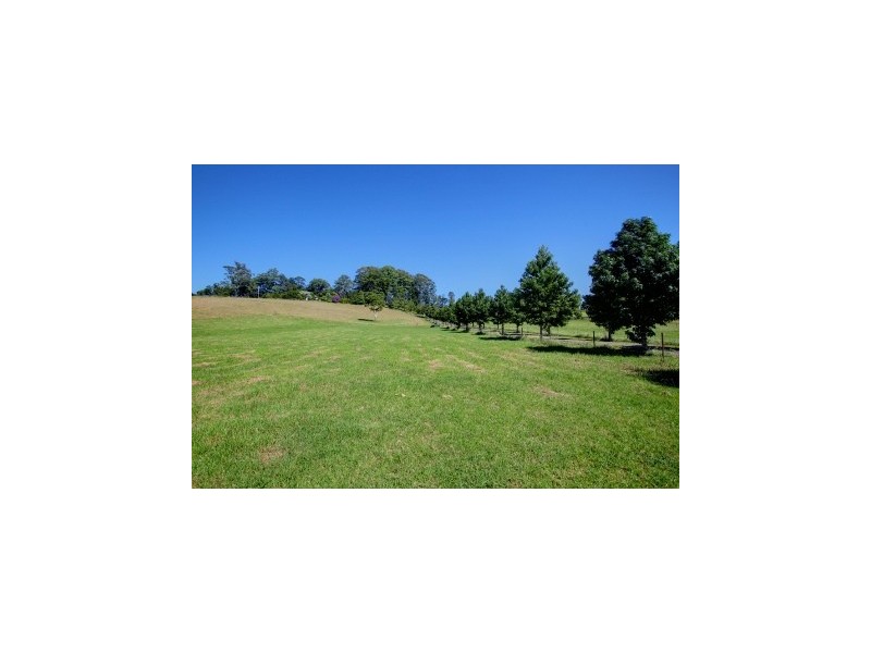 164 Fridays Creek Road, Upper Orara, Coffs Harbour NSW 2450