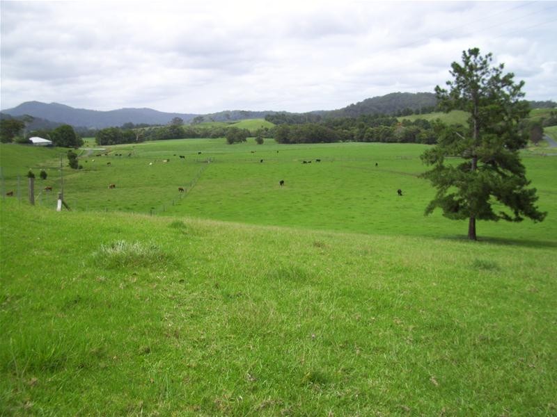 146 Fridays Creek Road, Upper Orara, Coffs Harbour NSW 2450