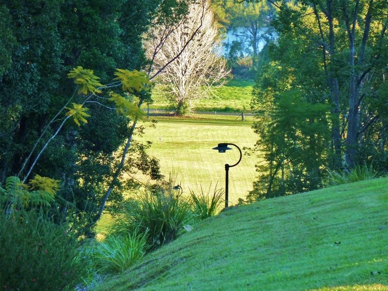 88 Gleniffer Road, Bellingen NSW 2454