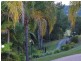 88 Gleniffer Road, Bellingen NSW 2454