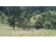4 (Lot) Gordons Knob Road, Newee Creek NSW 2447