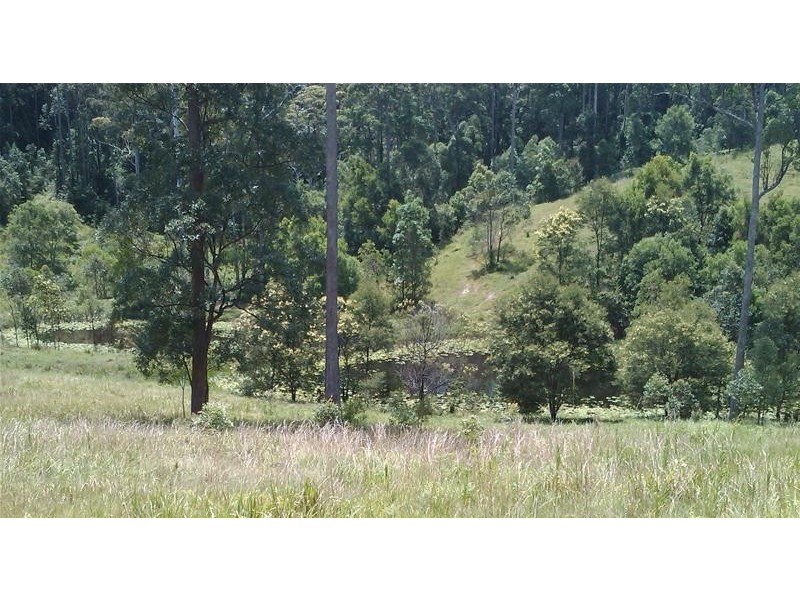 4 (Lot) Gordons Knob Road, Newee Creek NSW 2447