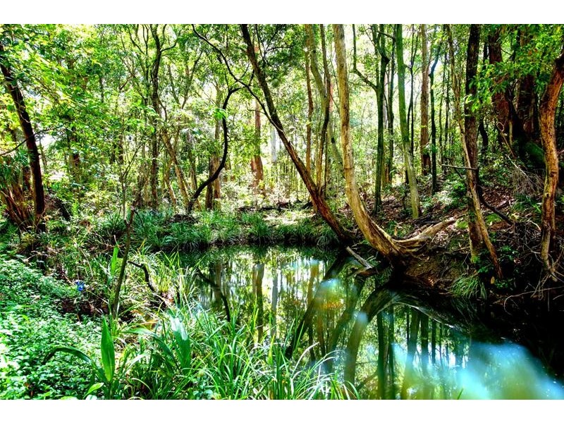 25 Kasch Road, Boambee NSW 2450