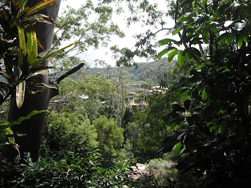 49 Vera Drive, Coffs Harbour NSW 2450