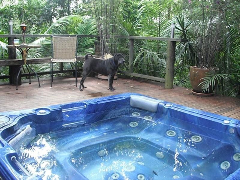 49 Vera Drive, Coffs Harbour NSW 2450