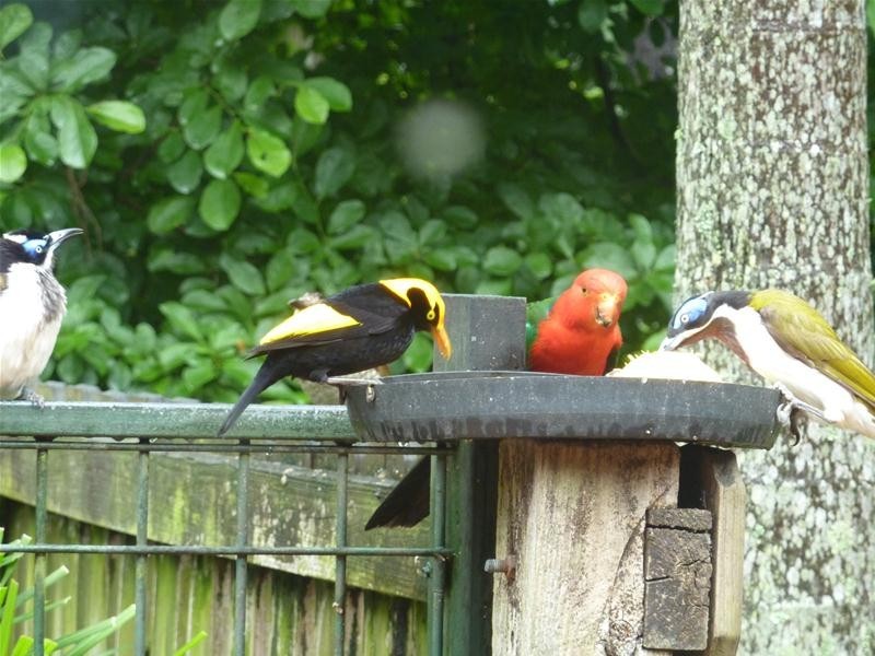 280D Upper Orara Road, Karangi, Coffs Harbour NSW 2450