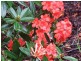 100A Moodys Road, Bonville, Coffs Harbour NSW 2450