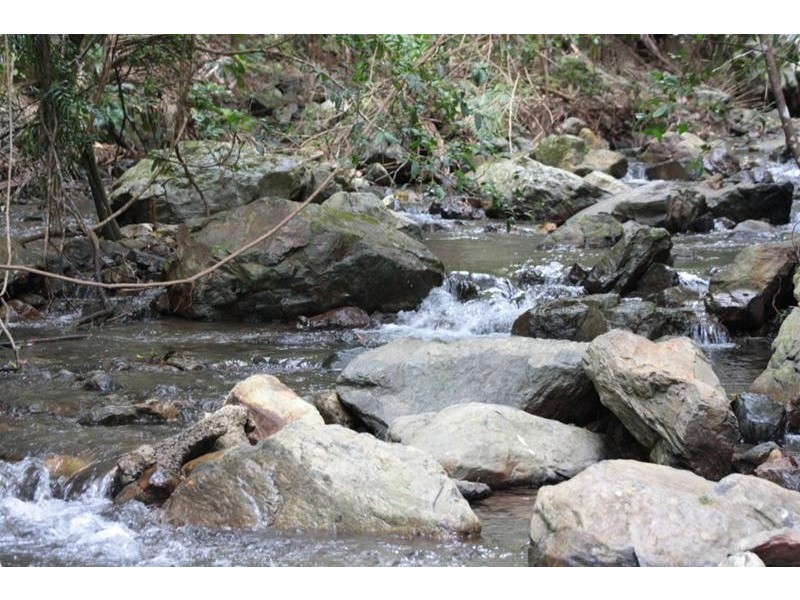 100A Moodys Road, Bonville, Coffs Harbour NSW 2450