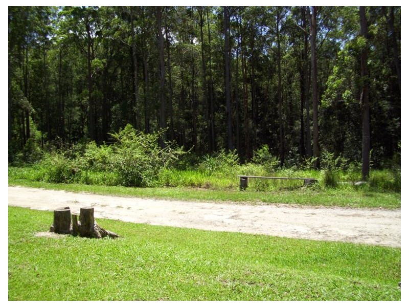 358 South Arm Road, Urunga NSW 2455