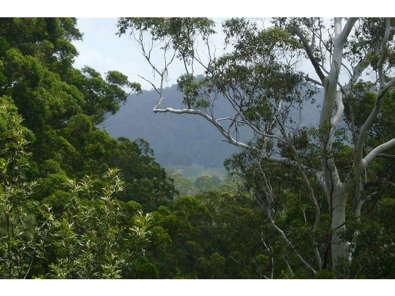 53 Mt Bishop Road, Karangi NSW 2450