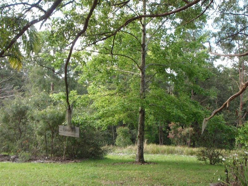 53 Mt Bishop Road, Karangi NSW 2450