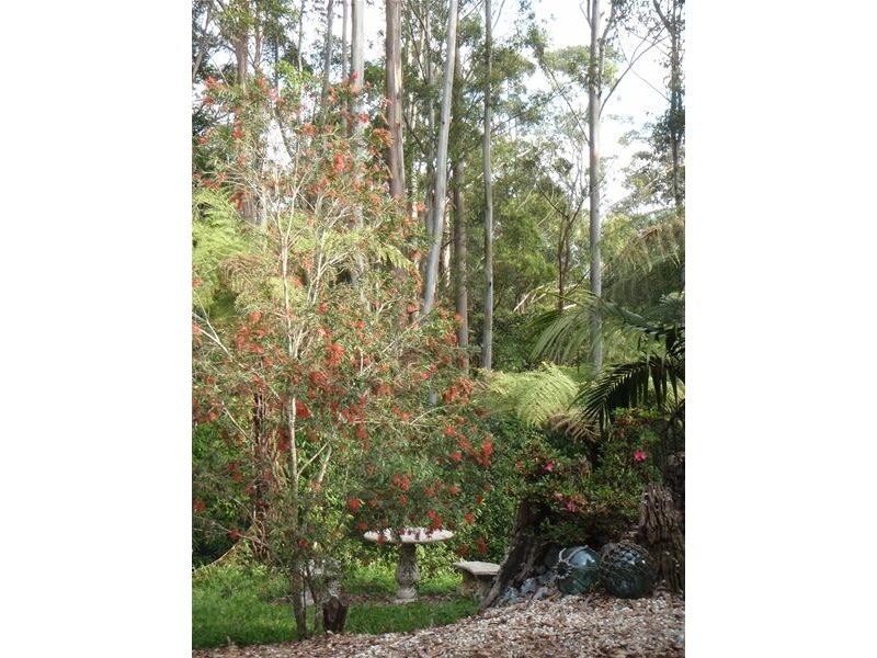 53 Mt Bishop Road, Karangi NSW 2450