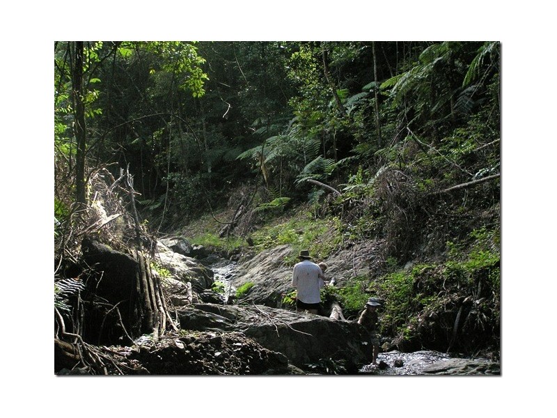 102 North Island Loop Rd, Upper Orara, Coffs Harbour NSW 2450