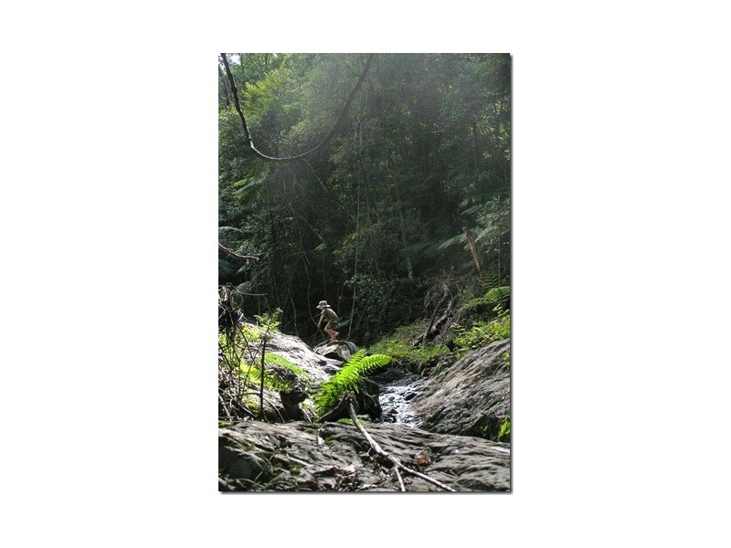 102 North Island Loop Rd, Upper Orara, Coffs Harbour NSW 2450