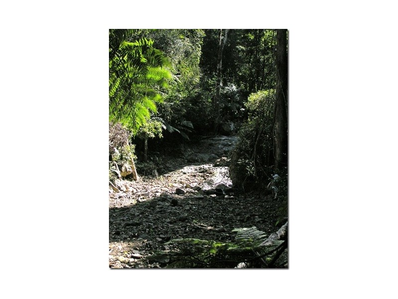 102 North Island Loop Rd, Upper Orara, Coffs Harbour NSW 2450