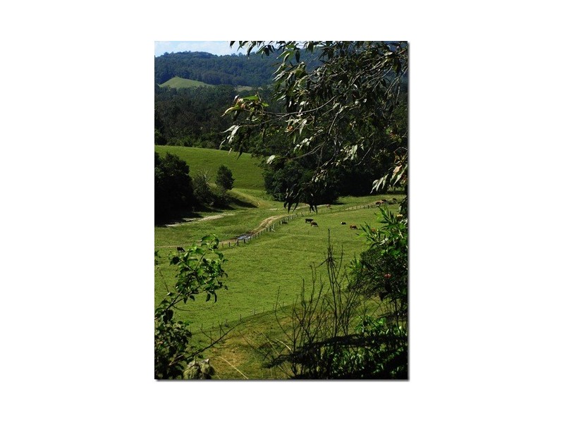 102 North Island Loop Rd, Upper Orara, Coffs Harbour NSW 2450