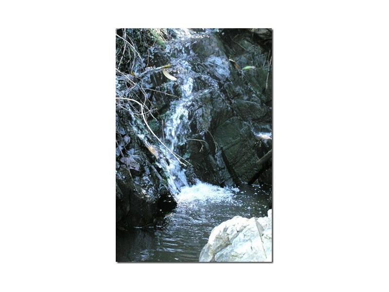 102 North Island Loop Rd, Upper Orara, Coffs Harbour NSW 2450