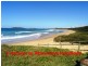 25 San Francisco Avenue, Coffs Harbour NSW 2450