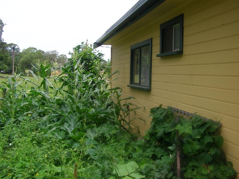 10 East Bonville Road, Bonville NSW 2441