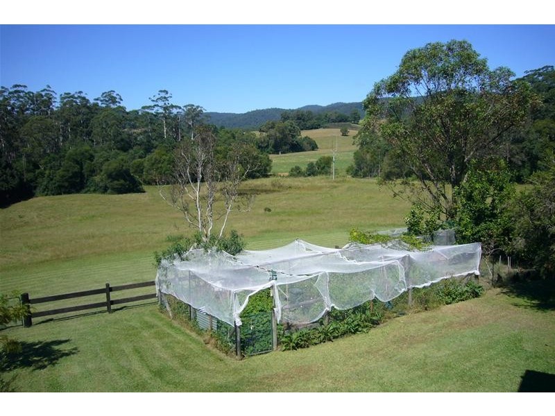 117 Coldwater Creek Road, Nana Glen, Coffs Harbour NSW 2450