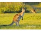 Emerald Beach Estate, Bluff Road, Emerald Beach NSW 2456