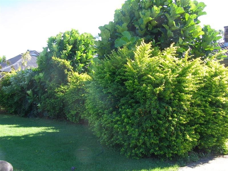 57A West High Street, Coffs Harbour NSW 2450