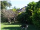 57A West High Street, Coffs Harbour NSW 2450