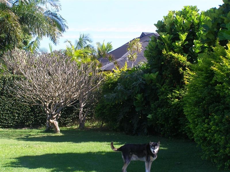 57A West High Street, Coffs Harbour NSW 2450