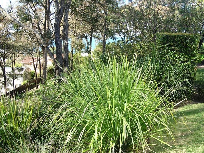 25/1 Five Islands Drive, Coffs Harbour NSW 2450