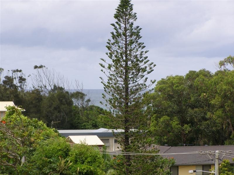 5 Nardie Street, Sapphire Beach NSW 2450