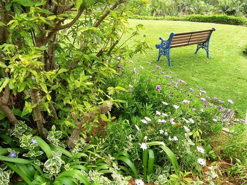 6 Canale Drive, Boambee NSW 2450