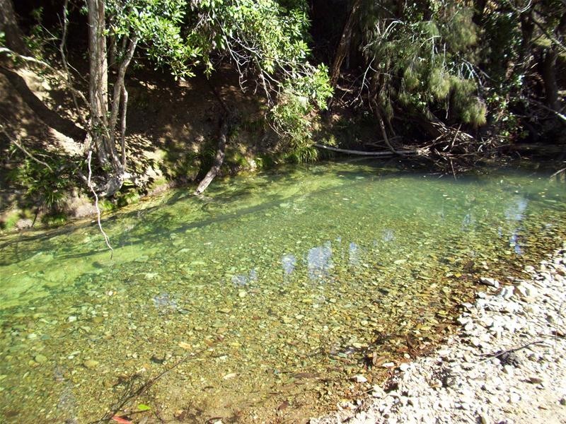 Bucca NSW 2450