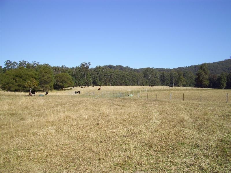 Bucca NSW 2450
