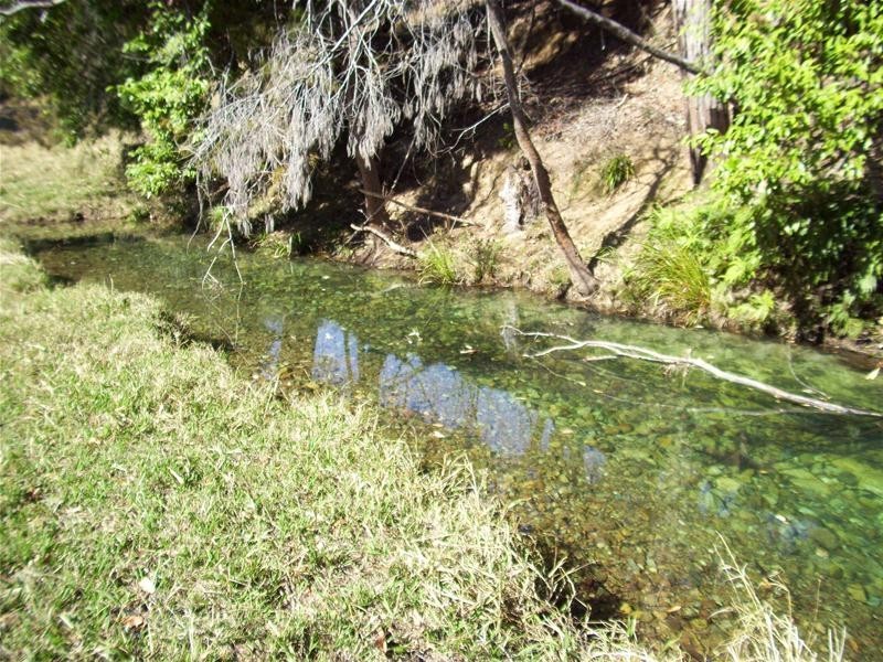 Bucca NSW 2450